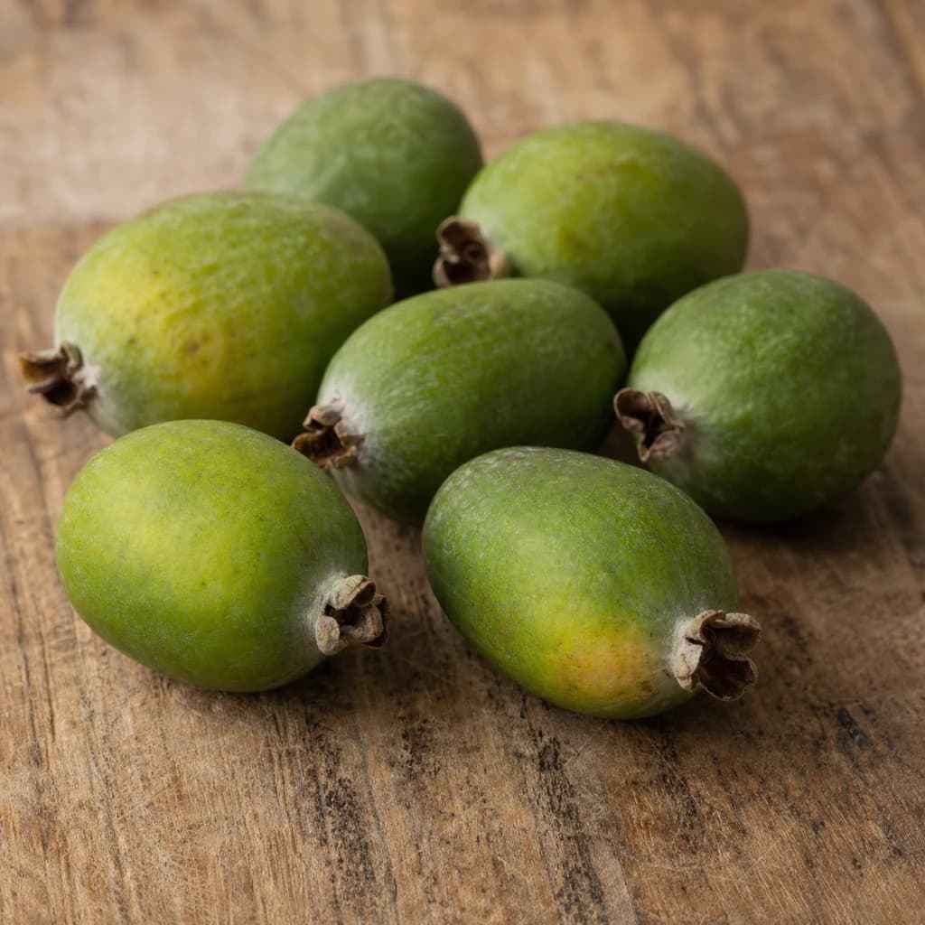 Feijoa