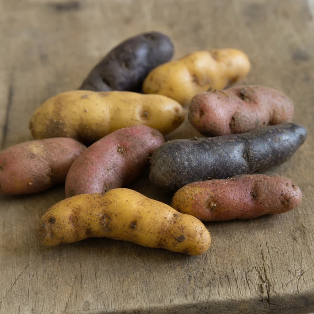 Fingerling Potato