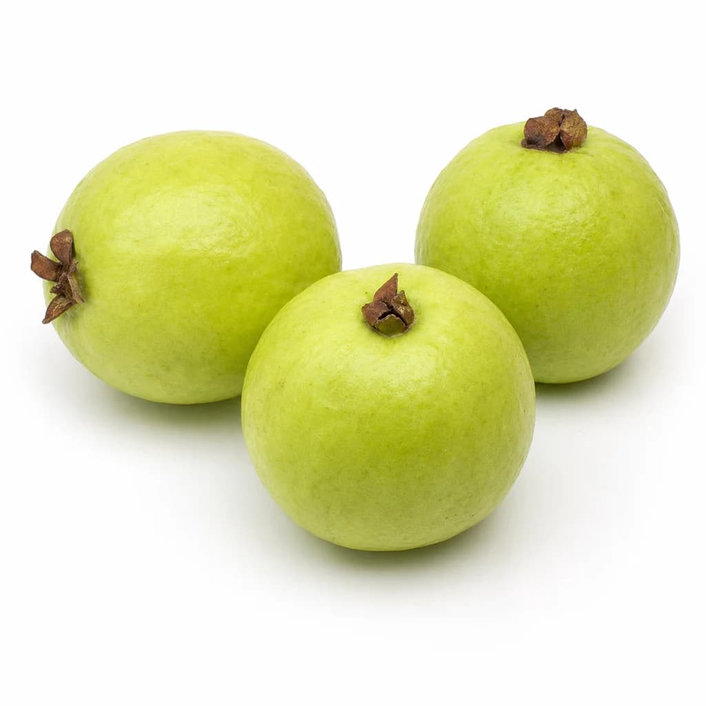 Guava