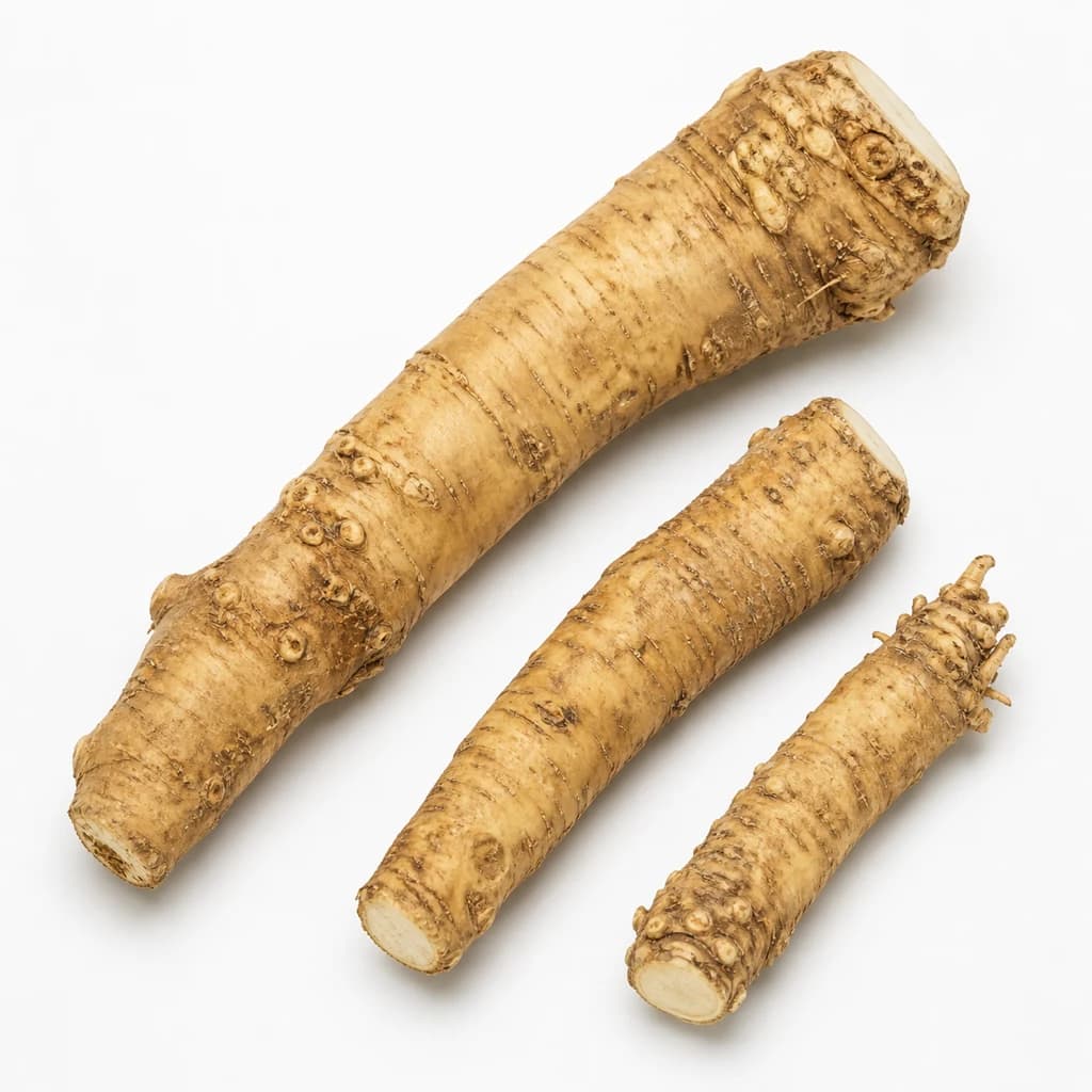 Horseradish — Natural form