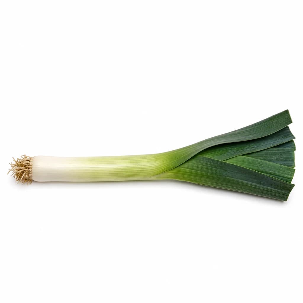 Leek