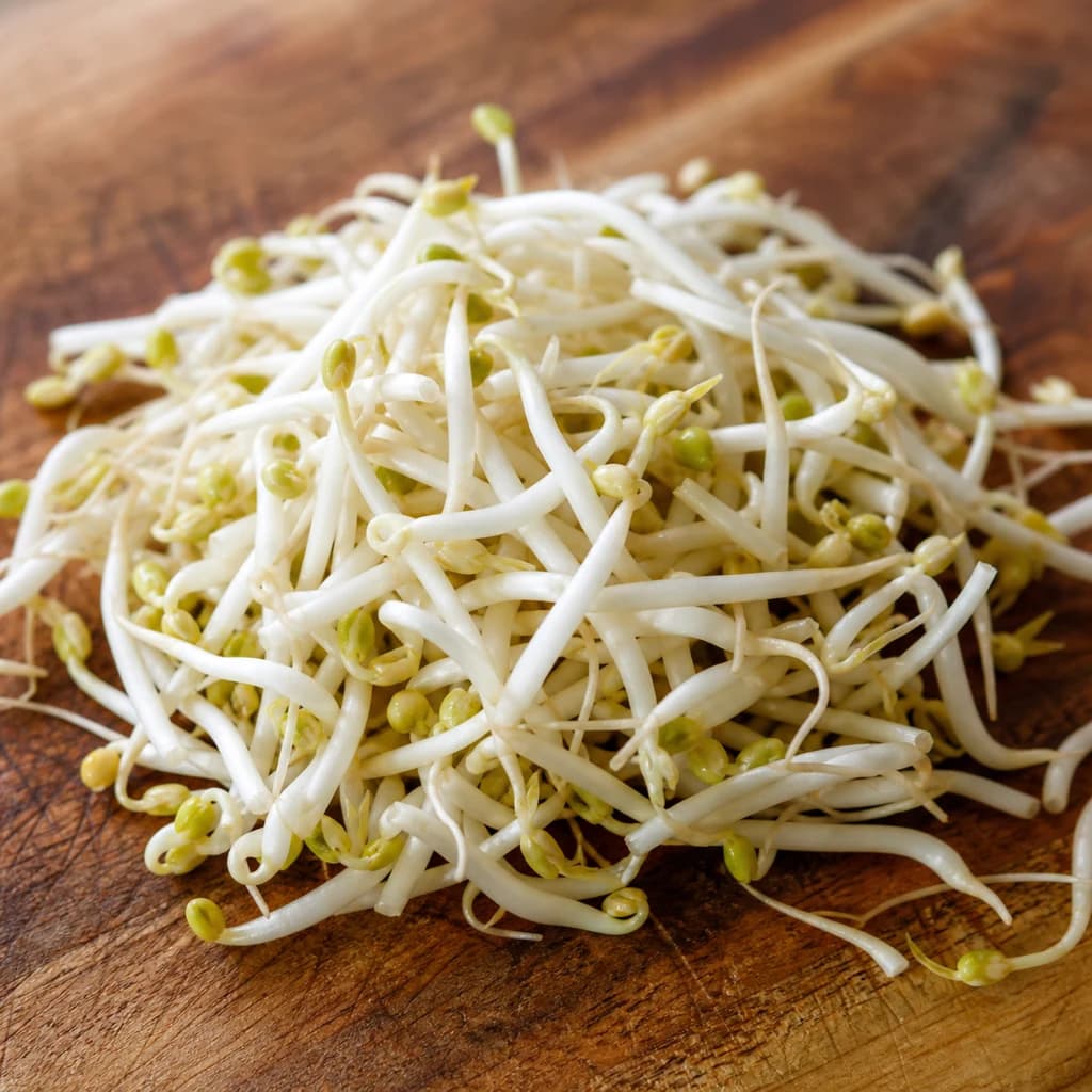 Mung Bean Sprout