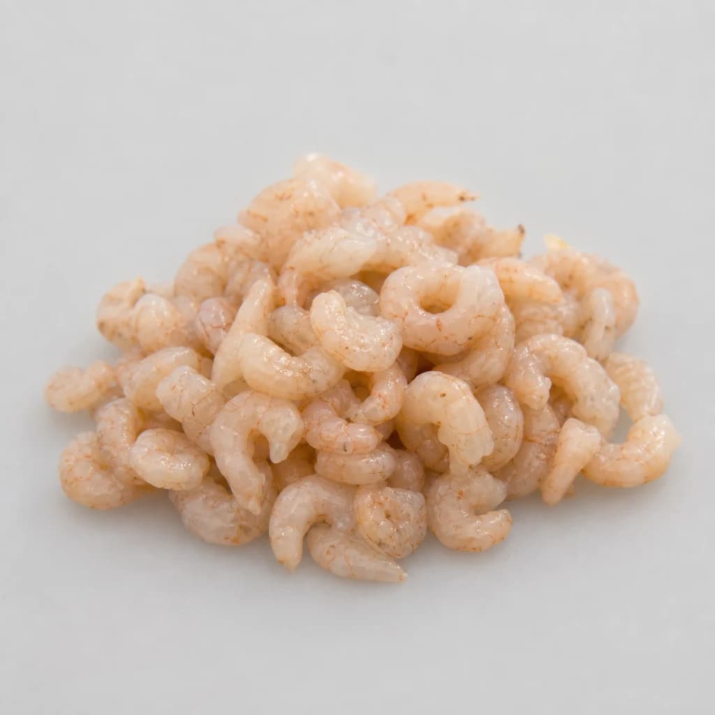 North Sea Grey Shrimp