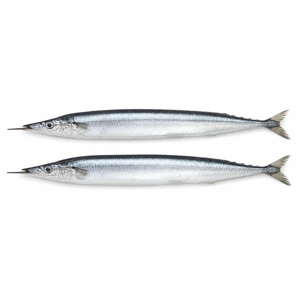 Pacific Saury (Kkongchi)