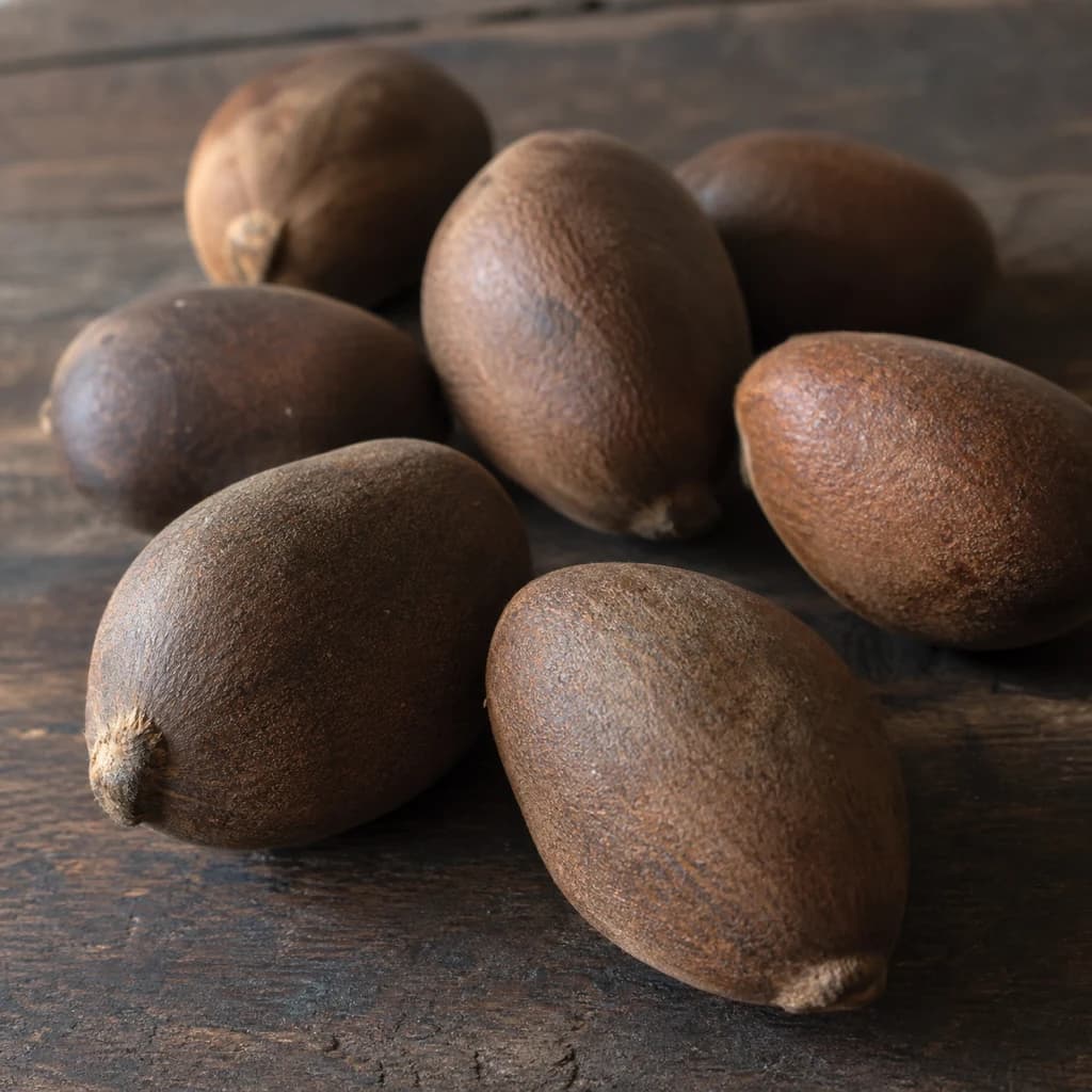Pana (Polynesian Chestnut)
