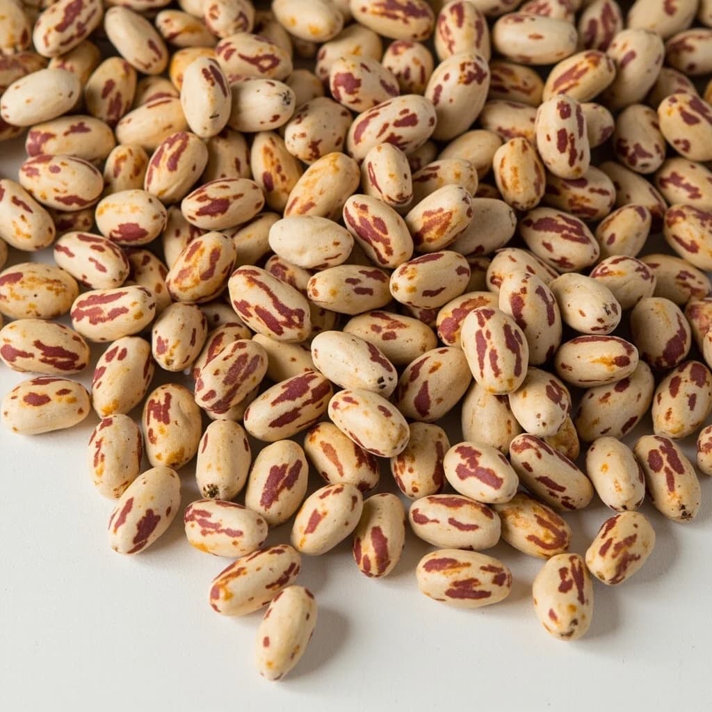 Pinto Beans