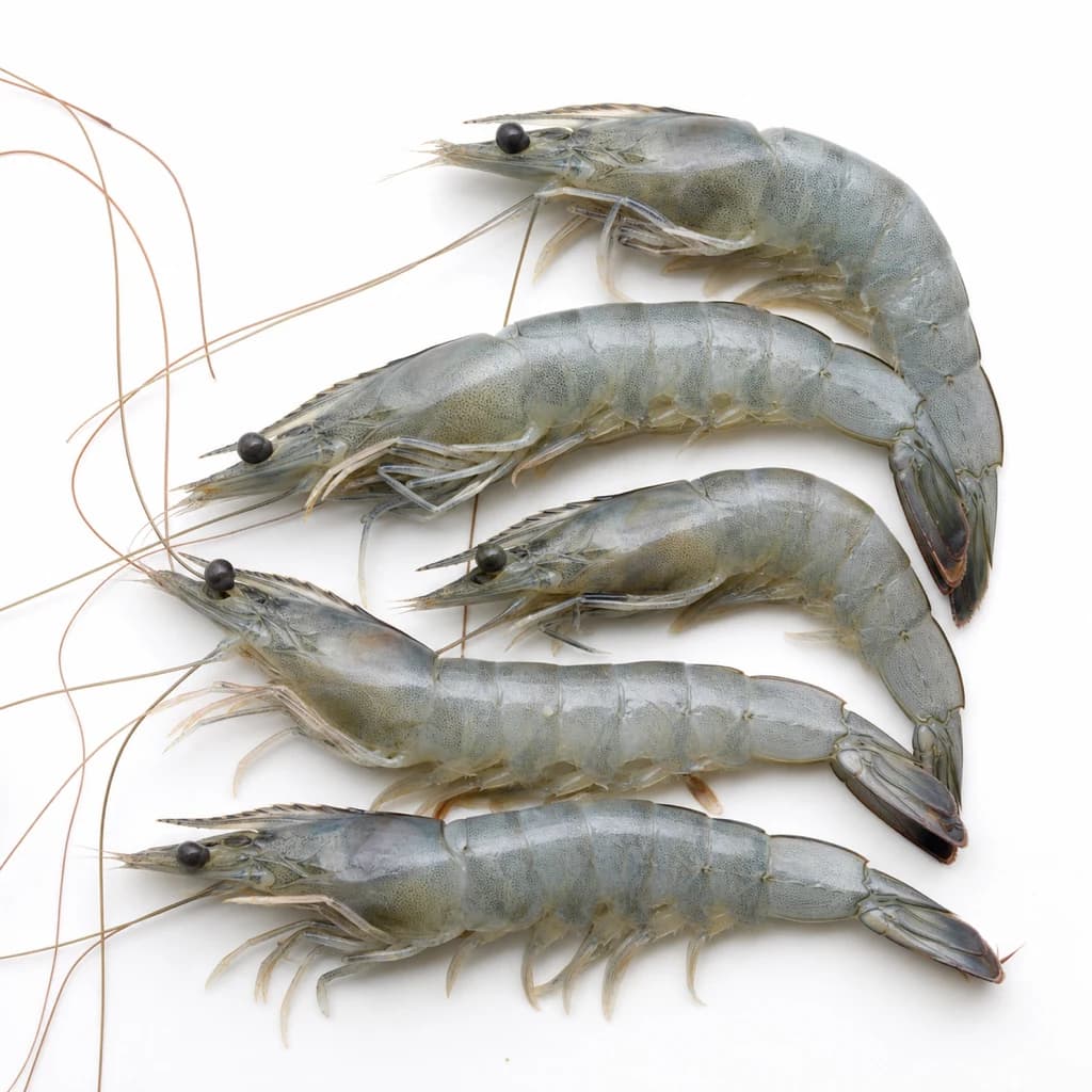 Prawn — Natural form