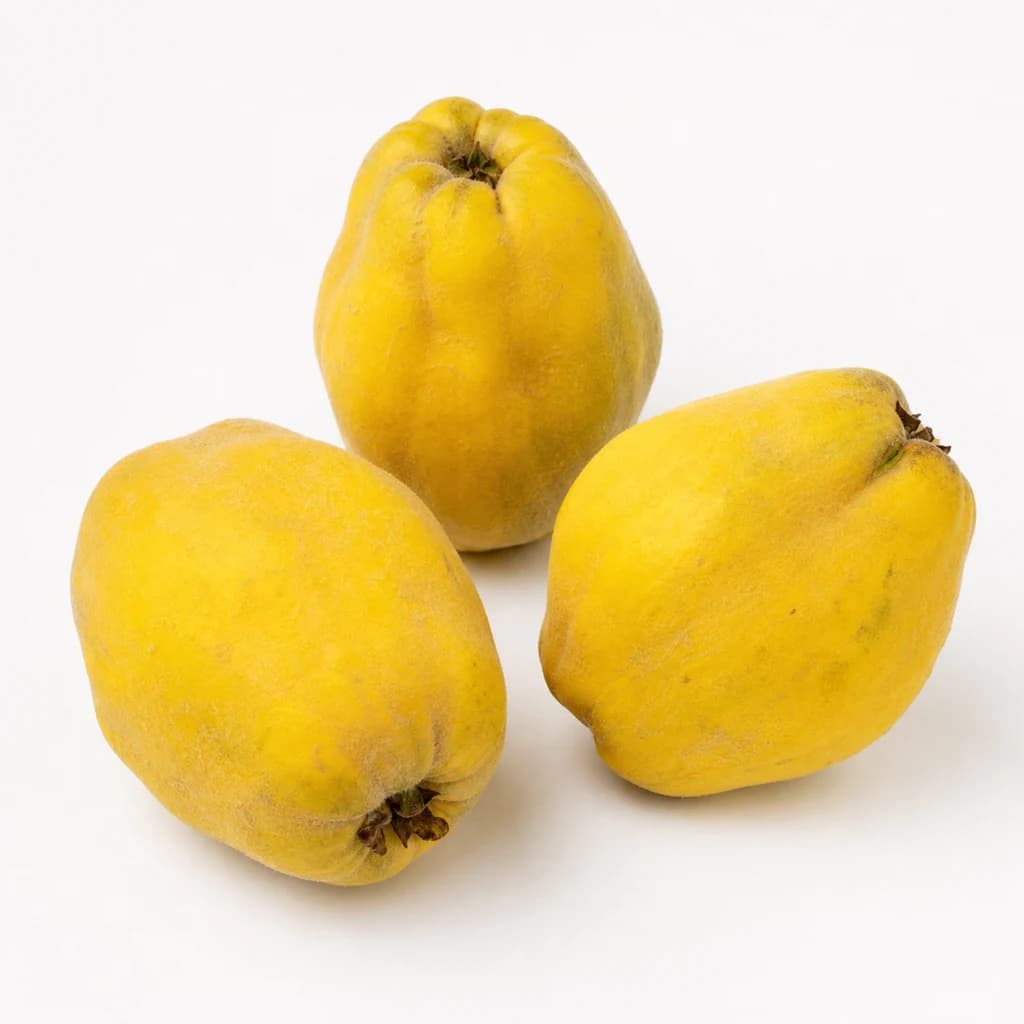 Quince