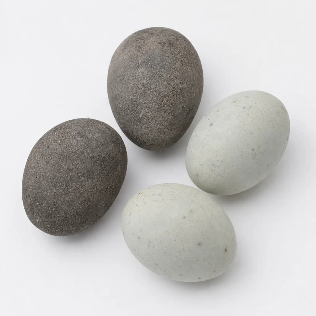 Salted Duck Egg
