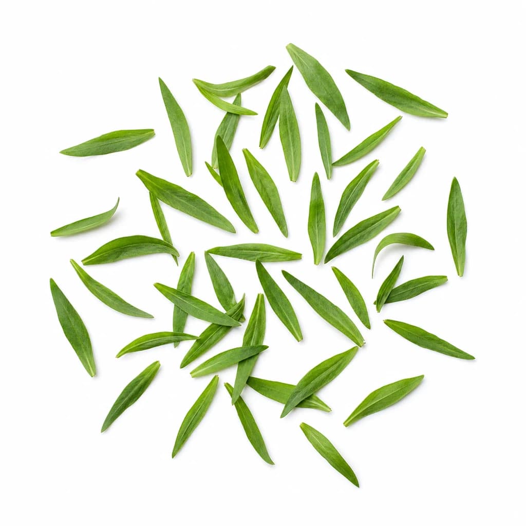 Tarragon