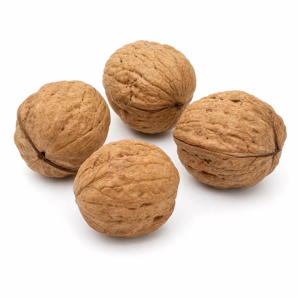 Walnut — Natural form