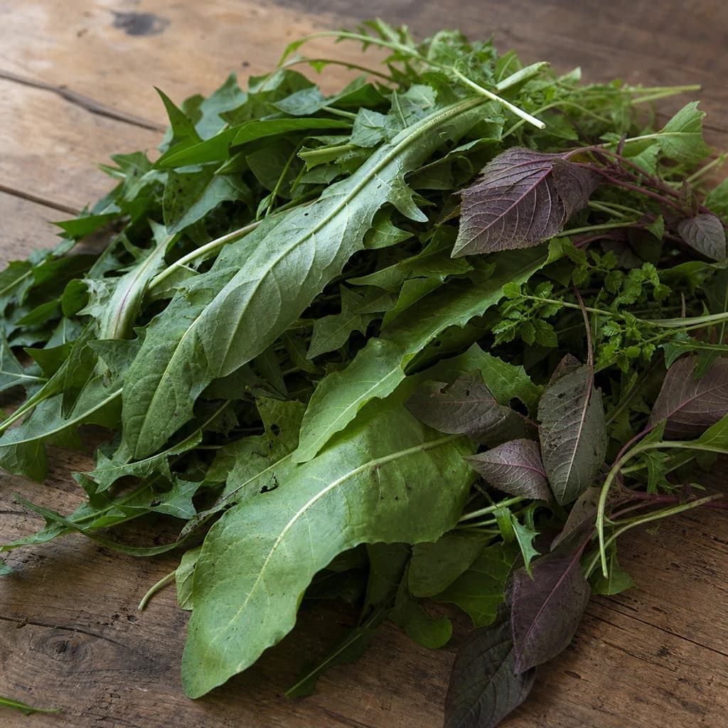 Wild Greens
