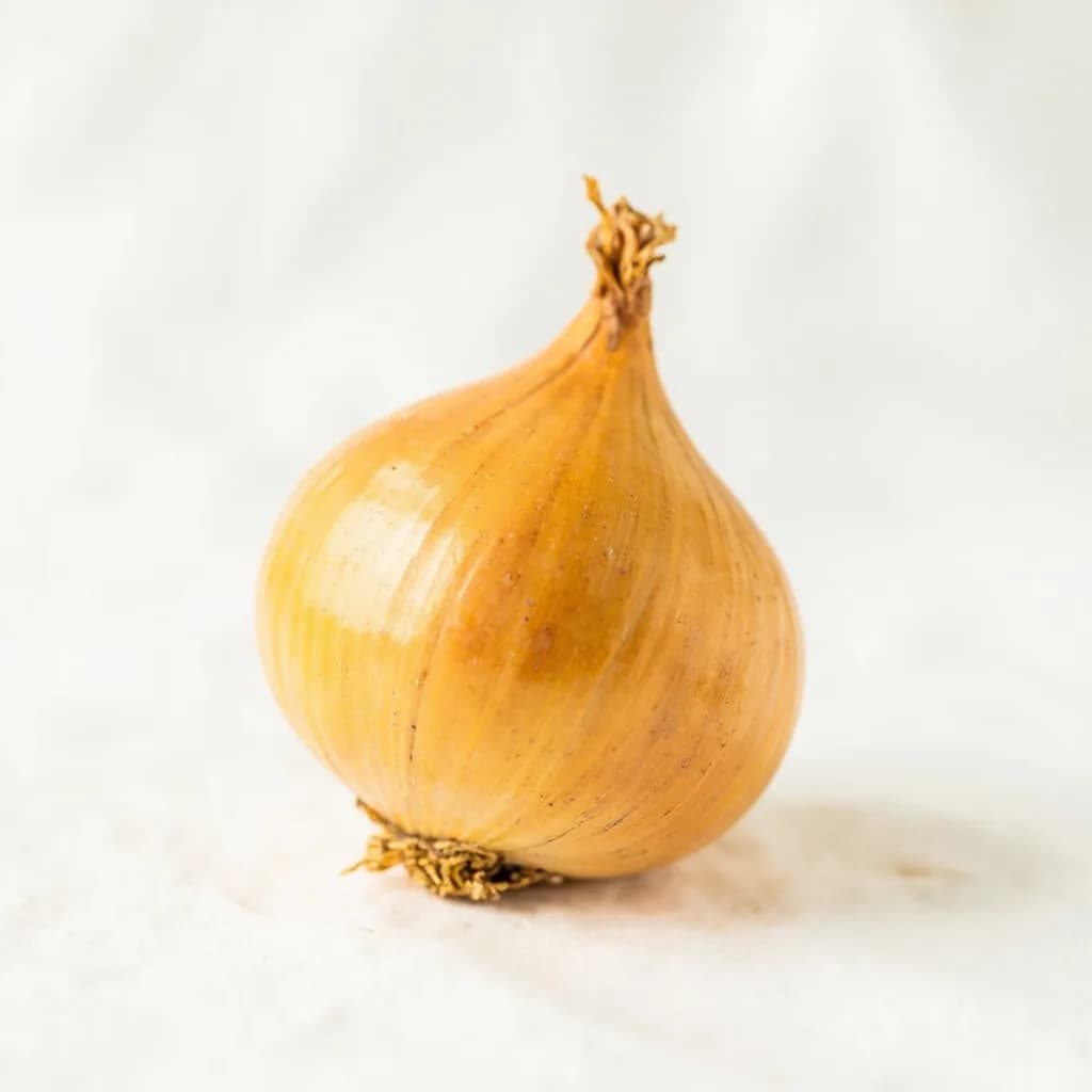 Yellow Onion
