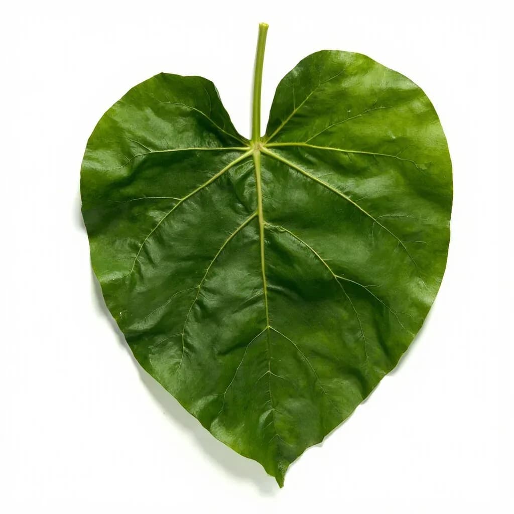 Taro Leaf (Wrapping)
