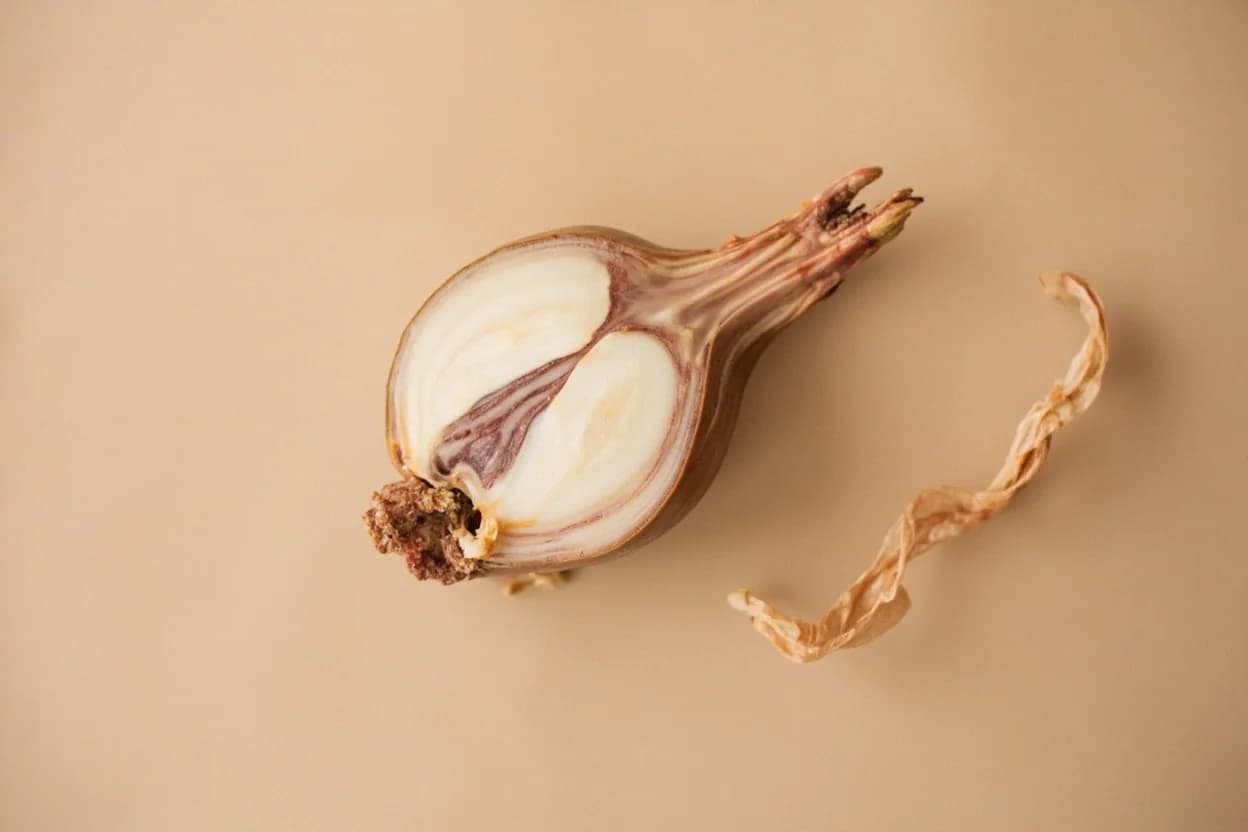 Where the onion — thin half-moon rings lives on the source. Whole onion — any variety.