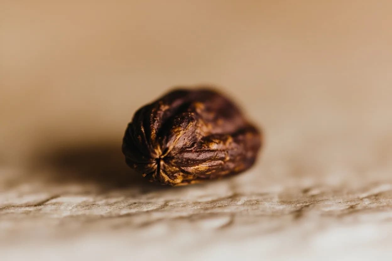 Cacao Nib in its natural form. Cacao nibs are fragments of fermented, dried, and roasted cacao beans that have been cracked from their husks. Tasting profile: Intense bitter chocolate, Roasted, espresso-like depth, Dried fruit undercurrent (raisin, prune), Earthy, forest floor tannins.