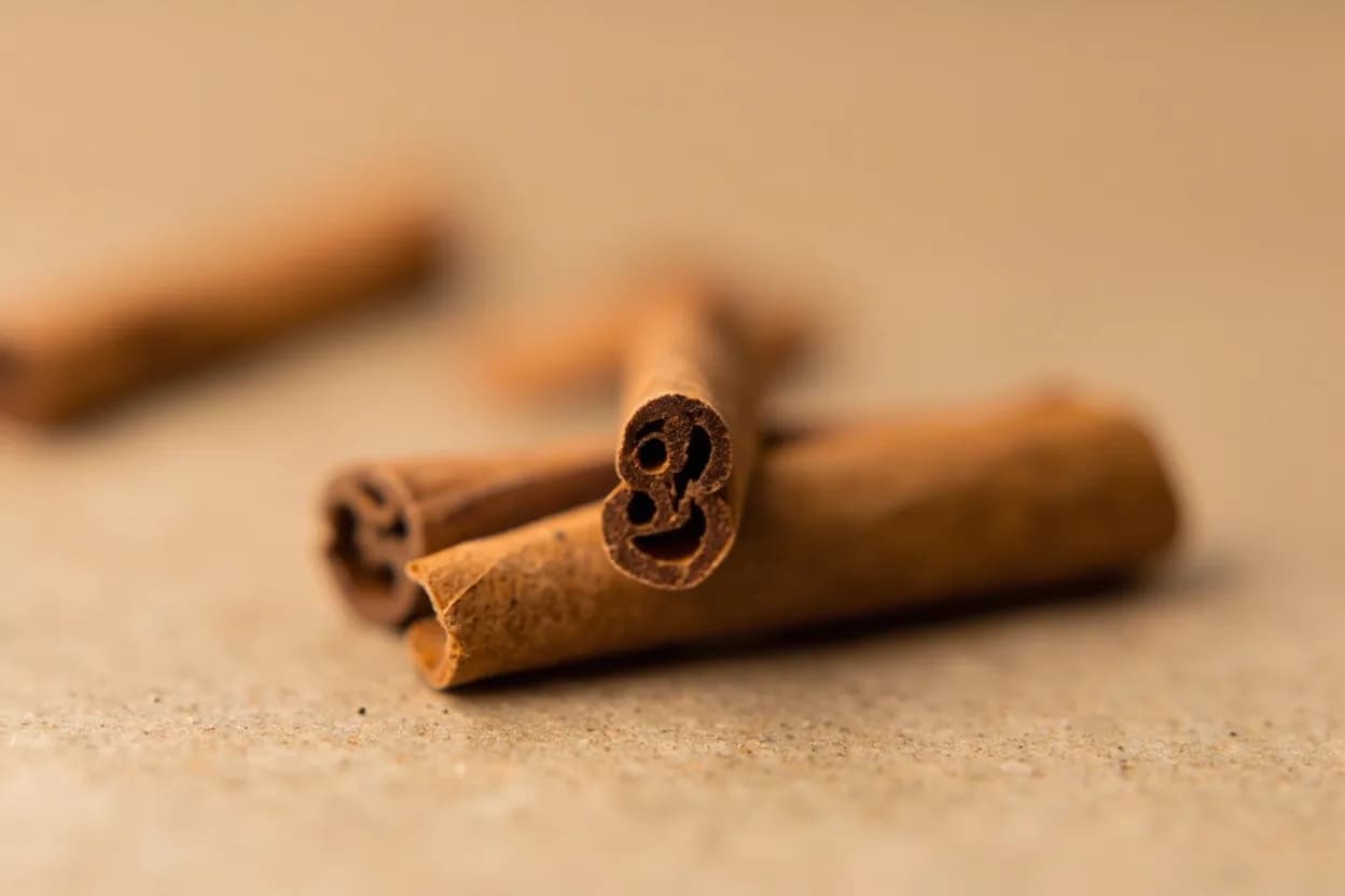 Cinnamon in its natural form. What the English-speaking world calls 'cinnamon' is almost universally cassia (Cinnamomum cassia or C. Tasting profile: sharp, assertive cinnamaldehyde warmth, woody, bark-like depth, faint camphor note at high intensity, sweet vanilla-adjacent background.