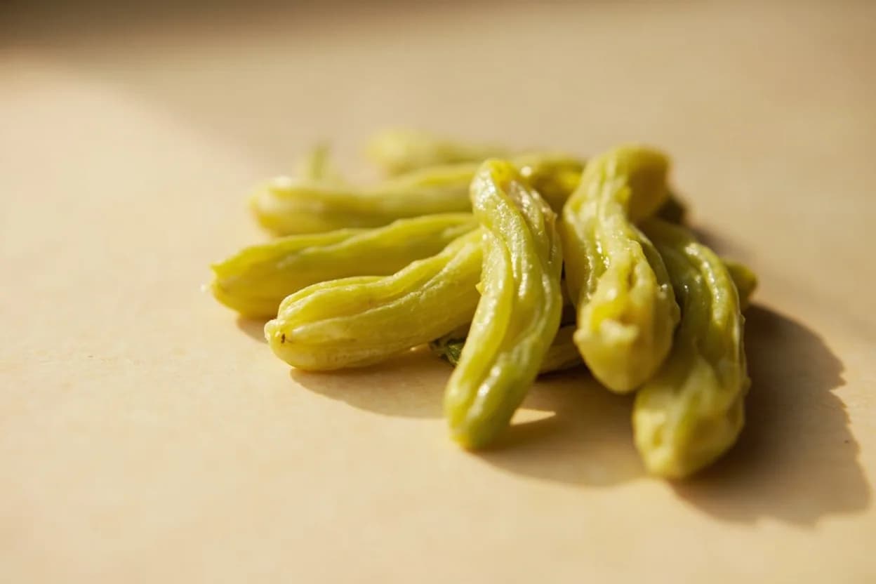 Cornichon in its natural form. Cornichons are miniature cucumbers (Cucumis sativus), harvested at 3–5 cm and immediately brined in white wine vinegar with tarragon, pearl onions, and sometimes capers. Tasting profile: sharp white-wine vinegar acidity, fresh cucumber undertone, herbaceous tarragon note, mild brine salinity.