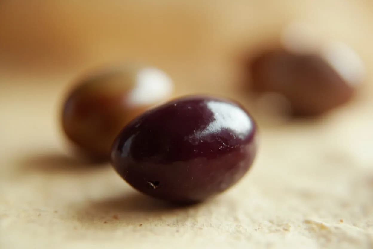 Gaeta Olive in its natural form. Gaeta olives come from the Itrana cultivar grown around the coastal Lazio town of Gaeta and into Campania. Tasting profile: Mild, rounded brine (gentler than Kalamata), Fruity ripeness — dried plum, mild red fruit, Buttery, rich olive oil character, Earthy, slightly wine-like fermented undertone.
