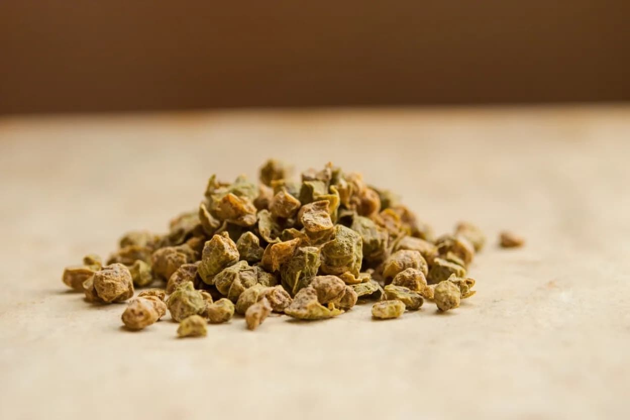 Hierba Santa in its natural form. Hierba santa (Piper auritum), also widely called hoja santa, is a large-leafed perennial herb native to Mexico and Central America. Tasting profile: anise, root beer, sassafras-like warmth, fennel sweetness.