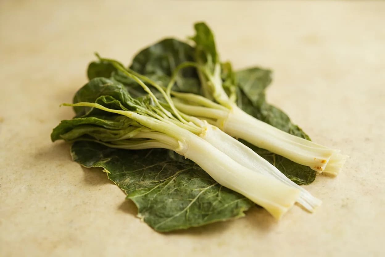 Kinome (Sansho Leaf) paired with Bamboo shoots (takenoko) (Japanese) — the canonical affinity made visible. The definitive pairing of Japanese spring cuisine: kinome miso (kinome-ae) draped over simmered bamboo is a kaiseki ritual, with the leaf's citrus-tingle cutting starchy earthiness.