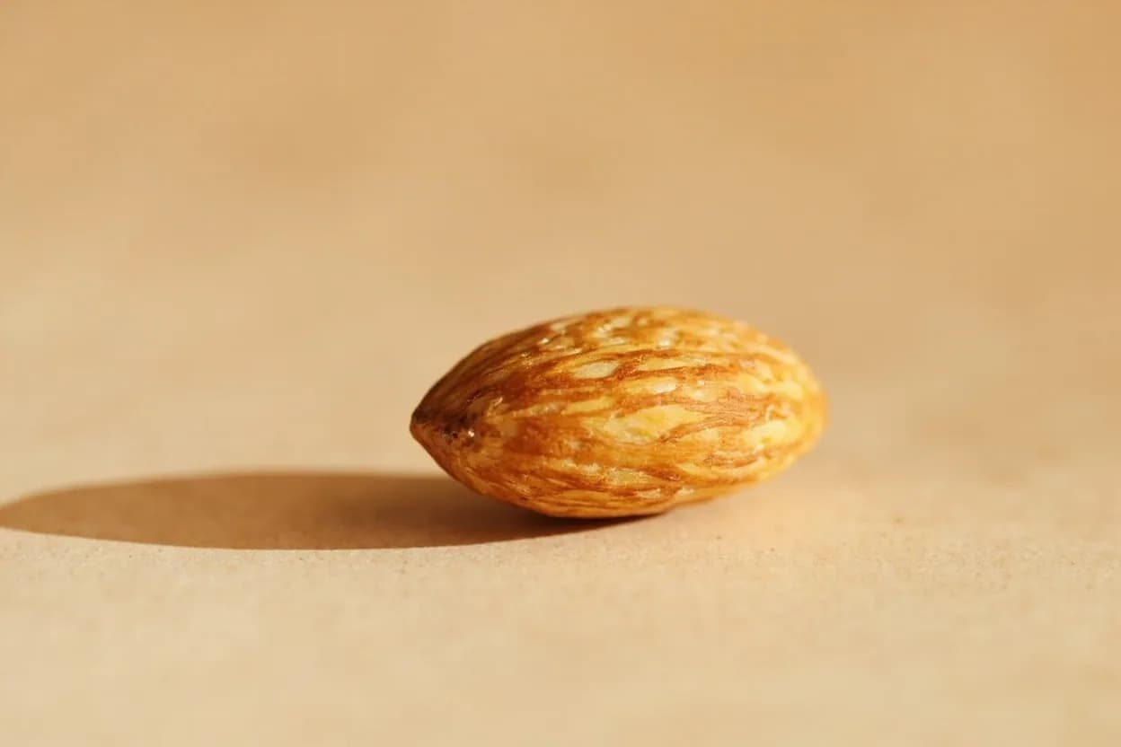 Marcona Almond in its natural form. Marcona almonds (Prunus dulcis var. Tasting profile: sweet, buttery nuttiness, mild almond extract note (benzaldehyde), creamy, rich fat mouthfeel, very faint bittersweet finish.