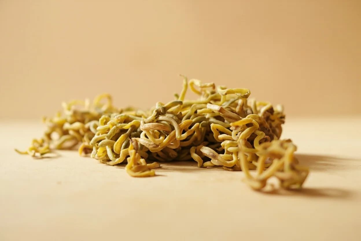 Myoga in its natural form. Myoga (Zingiber mioga) is the flower bud and young shoot of a cold-hardy ginger species native to Japan and Korea. Tasting profile: mild ginger warmth, floral, jasmine-adjacent aroma, clean grassy astringency, faint citrus zest.
