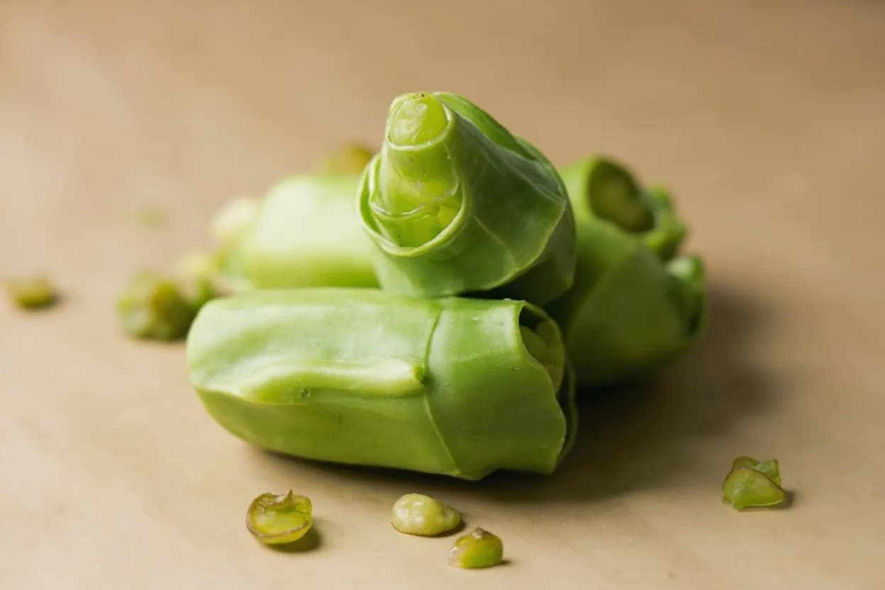 Nopales in its natural form. Nopales are the flat, fleshy pads of the Opuntia (prickly pear) cactus, a plant cultivated in Mexico for over 9,000 years and central to the national diet. Tasting profile: grassy vegetal, mild green acidity, slight citrus tang, earthy when cooked.