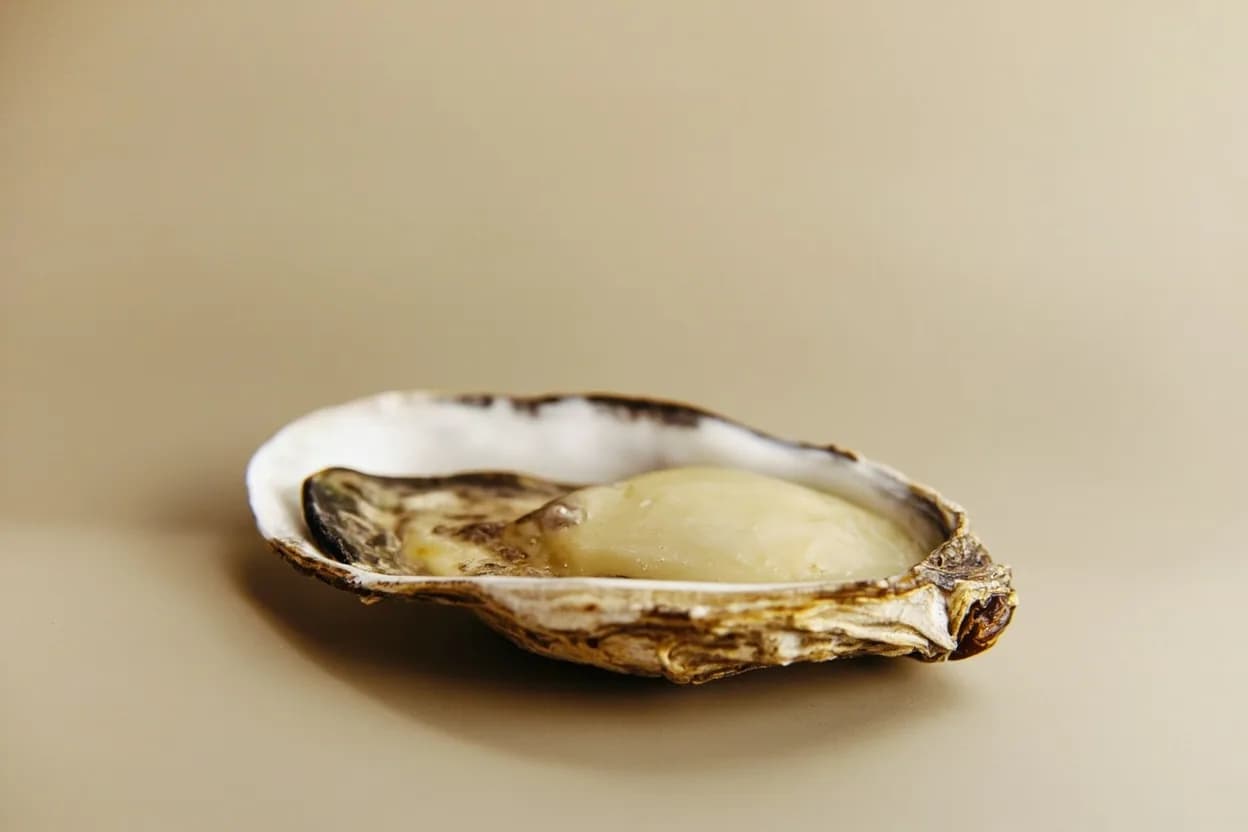 Oyster in its natural form. Oysters are bivalve molluscs whose edible flesh (mantle, adductor muscle, and roe) concentrates the minerals, salinity, and phytoplankton of the water they filter. Tasting profile: mineral (copper, iron), briny, clean ocean, cucumber-melon (Pacific).