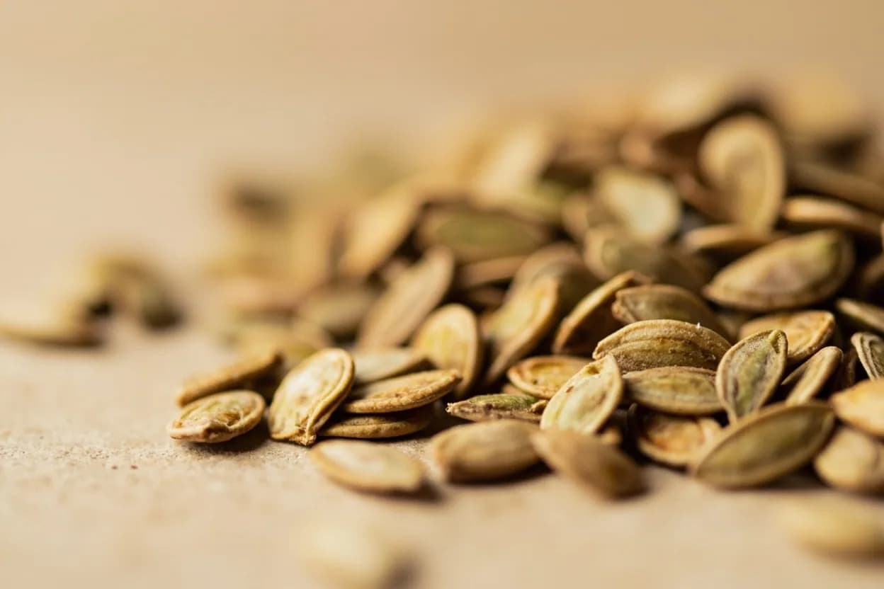 Pepitas (Pumpkin Seeds) in its natural form. Pepitas are the hull-less inner seeds of certain Cucurbita pumpkin varieties, primarily Styrian or naked-seed pumpkins grown specifically for their edible, dark-green kernels. Tasting profile: Nutty, popcorn-like roasted character when toasted, Grassy, vegetal green note when raw, Mild bitterness in the skin (pleasant after toasting), Creamy, oil-rich mouthfeel.