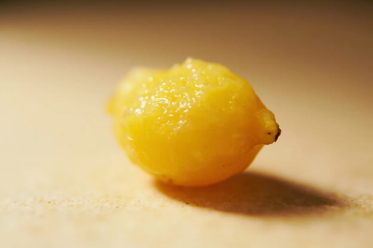 Preserved Lemon in its natural form. Preserved lemons are whole or quartered lemons packed in salt and left to ferment and cure in their own juice for a minimum of 4 weeks, often several months. Tasting profile: concentrated lemon perfume (citral, limonene) without sharp acidity, salt-forward with a long saline finish, mild fermented funk, subtler than pickles, floral mid-note (similar to bergamot or Meyer lemon).