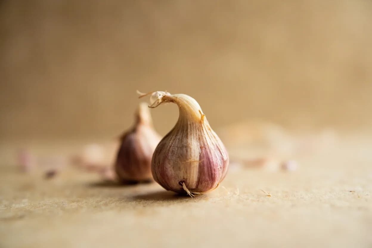 Shallot in its natural form. Shallots (Allium cepa var. Tasting profile: sweet allium, mild sulfur, faint wine-like depth, buttery when cooked.