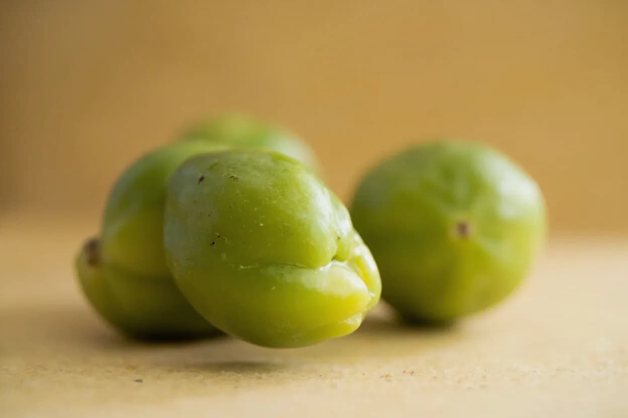 Tomatillo in its natural form. Tomatillos (Physalis philadelphica) are small, firm fruits native to Mesoamerica, encased in a papery husk that is discarded before use. Tasting profile: tart citrus acidity, grassy herbaceousness, faint green apple, slight resinous note.