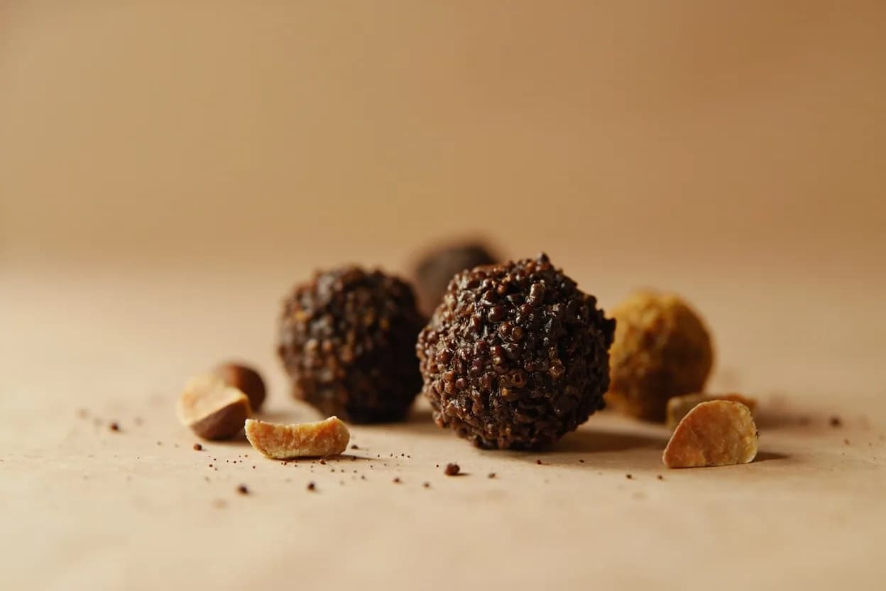 Truffle in its natural form. Truffles are subterranean ascomycete fungi in the genus Tuber, harvested by trained dogs or pigs from the root zones of oak, hazelnut, and other host trees. Tasting profile: musky earth and forest floor (dimethyl sulfide), garlic-sulfur (white truffle) or chocolate-cocoa-earth (black truffle), hazelnut and dried hay, honey and fermented must.