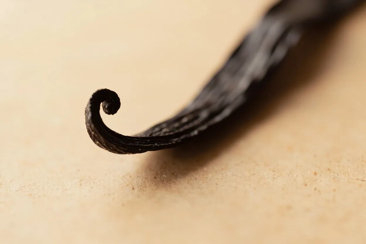 Vanilla Bean in its natural form. The cured seed pod of the orchid Vanilla planifolia, native to Mexico and now grown across Madagascar, Tahiti, and Indonesia. Tasting profile: vanillin, creamy sweetness, floral blossom, warm balsamic.